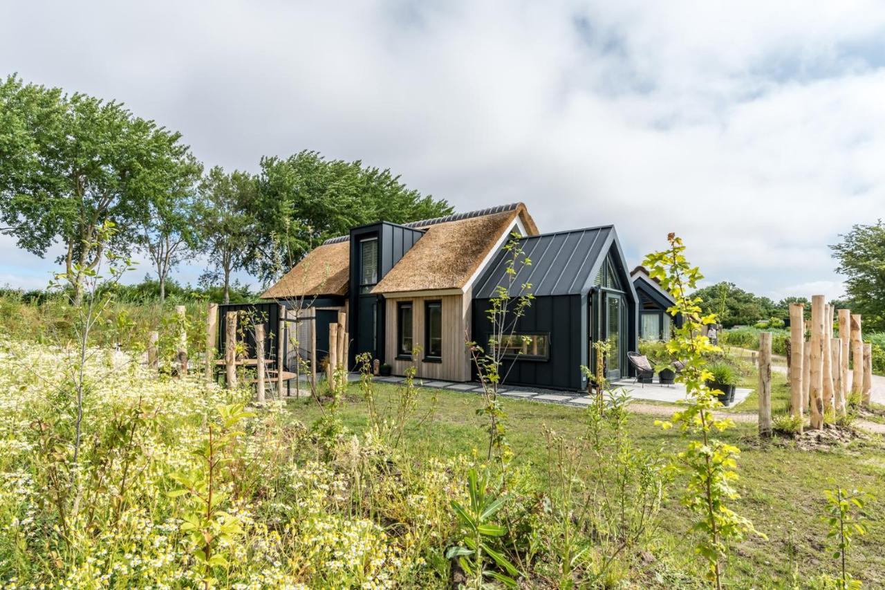 Riethoek Westerschouwen Burgh-Haamstede Dış mekan fotoğraf